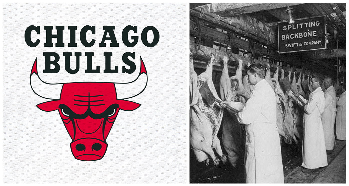 Chicago Bull